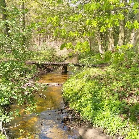 アパート Cztery Katy