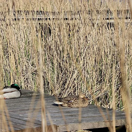 Cztery Katy アパート