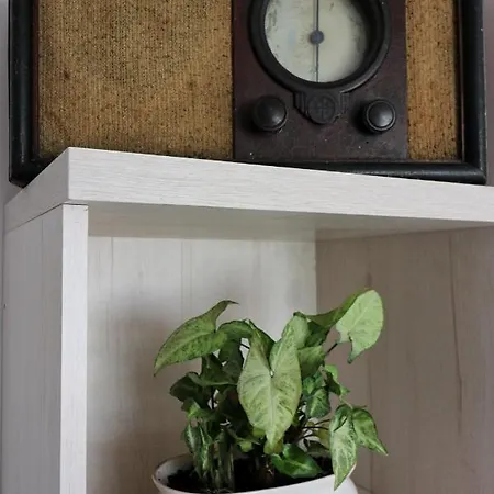 Cztery Katy * Drawno