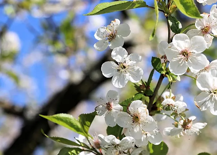 Cztery Katy Apartmán *