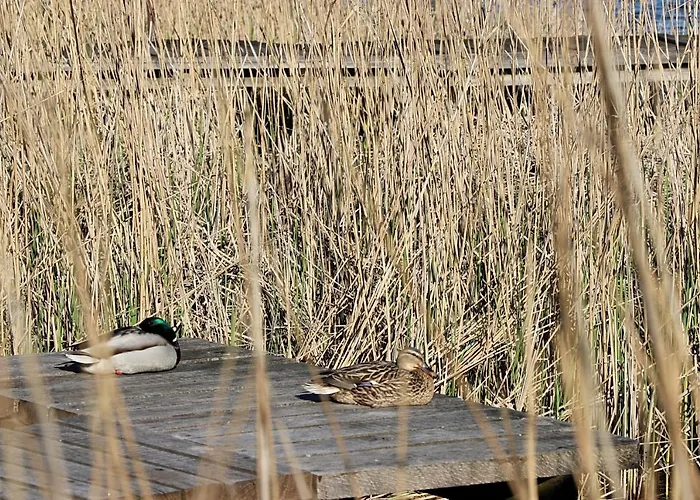 Cztery Kąty Apartament