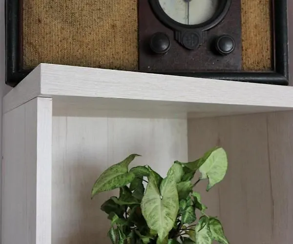 Cztery Katy * Drawno